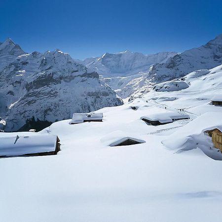 Apartment Chalet Jrene By Interhome Grindelwald Exterior photo