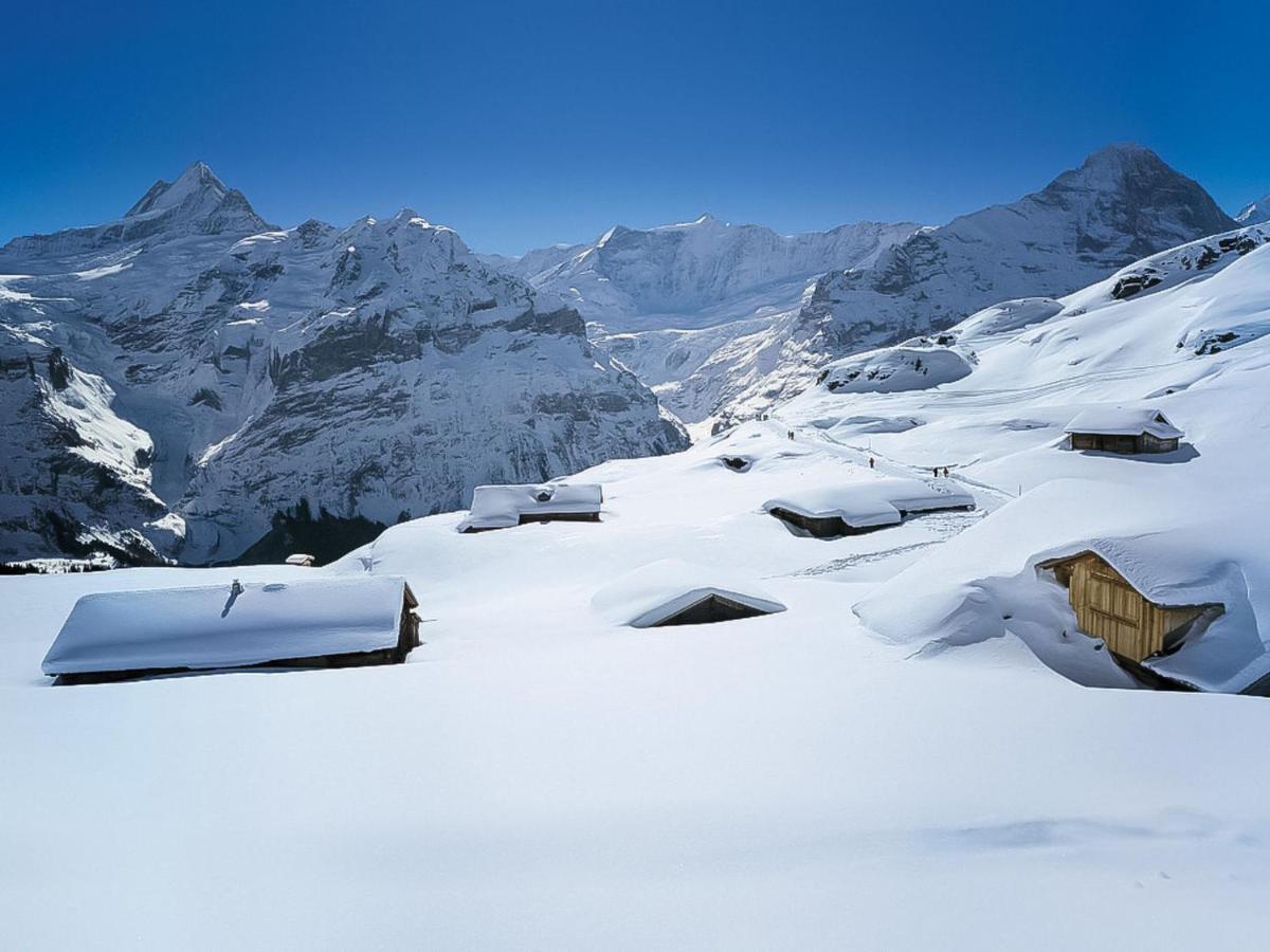 Apartment Chalet Jrene By Interhome Grindelwald Exterior photo